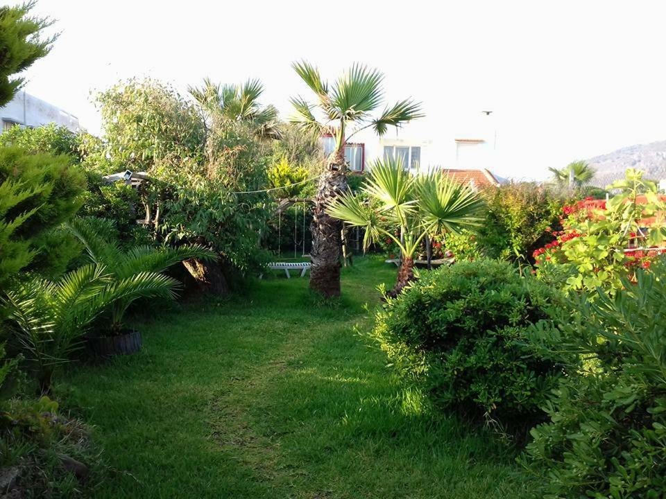 Georgia Seaside Villa Hersonissos  Exterior photo